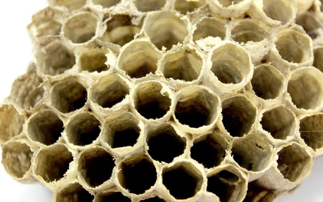 pegamento de abeja para aumentar la potencia